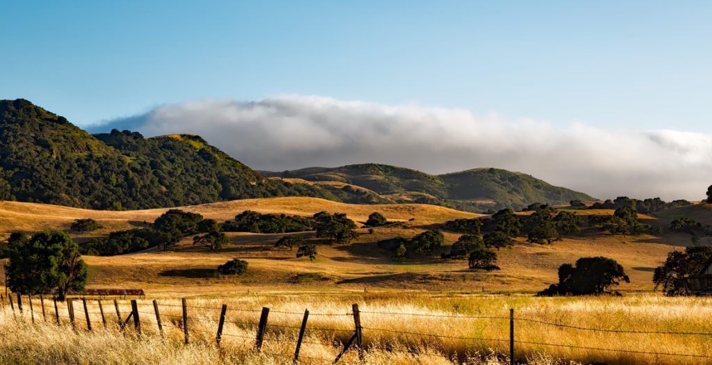 Californian Landscape