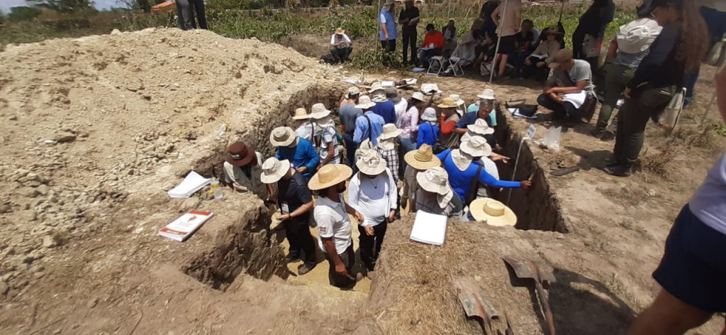 Researchers examining a soil profile (Photo: Martins, A. 10/2019)